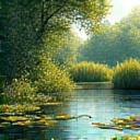 小鳥や昆虫が訪れる、豊かなビオトープ（小さな池や湿地）のイラスト