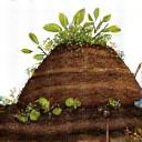 落ち葉や剪定枝が堆肥へと変わる、有機的なコンポストのイラスト